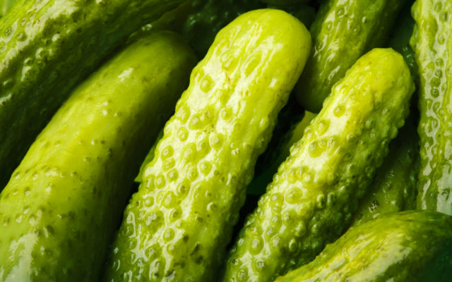 Have You Ever Considered ‘Pickle in a Blanket’?