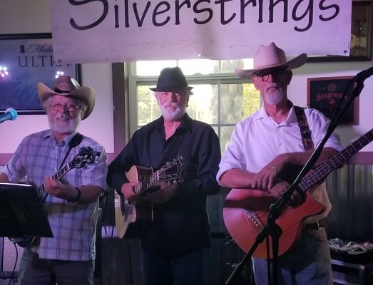 Silverstrings to play Free Concert for a Cause Friday Night