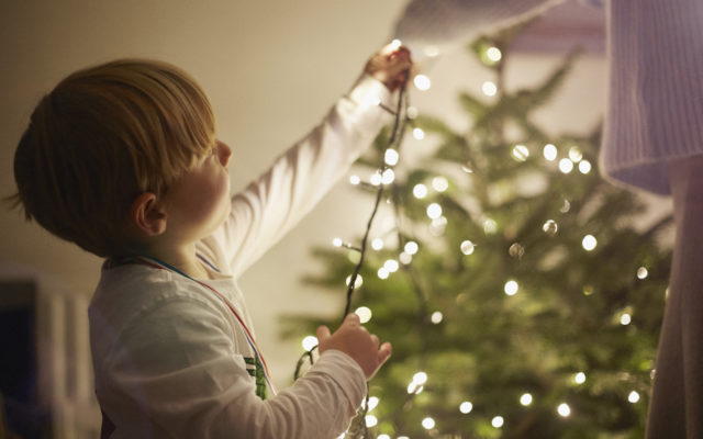 WORK SMARTER NOT HARDER:  Here’s the Easiest Way to Hang Holiday Lights on Your Tree
