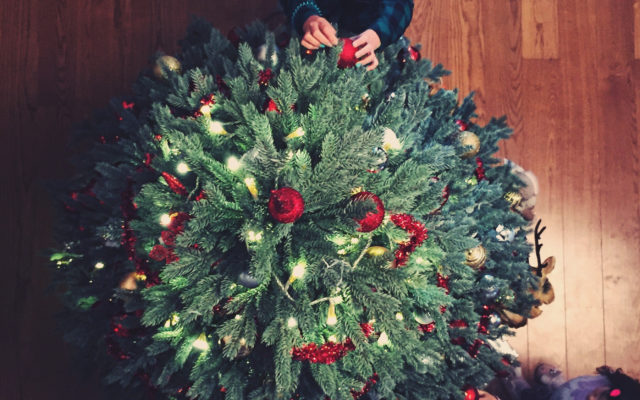 WORK SMARTER NOT HARDER:  Know Who’s Getting Hurt Putting Up That Christmas Tree – And Why?