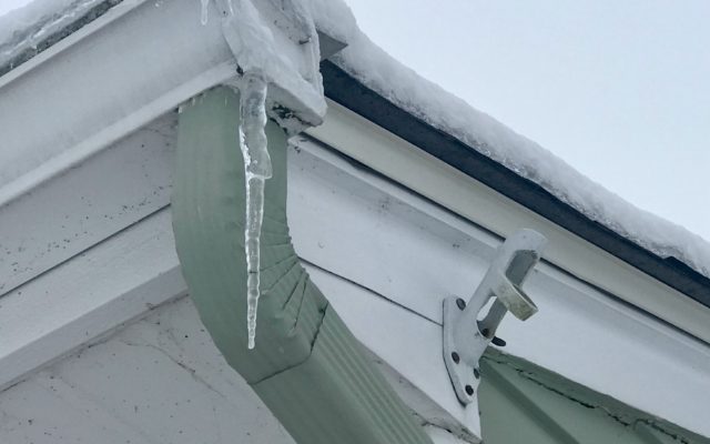 PSA:  If You Eat an Icicle, You’re Eating Bird Poop