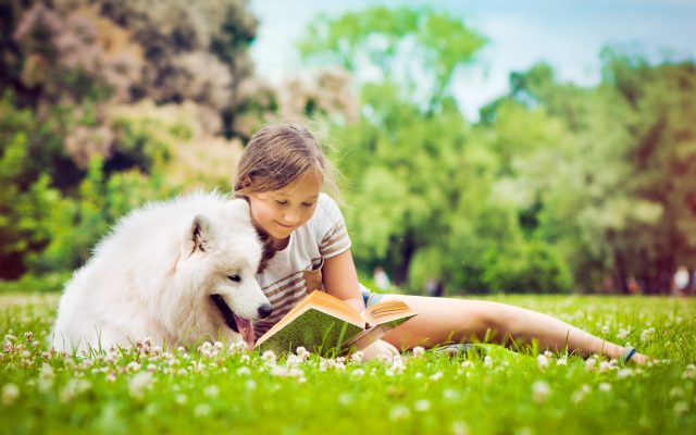 WORK SMARTER NOT HARDER:  Students Do Better When They Study with a Dog
