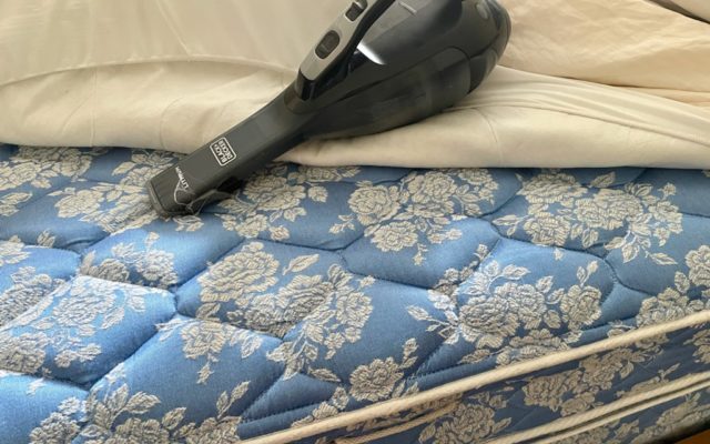 Prepare to Be Horrified — TikToker Reveals Why You Should Vacuum your Mattress