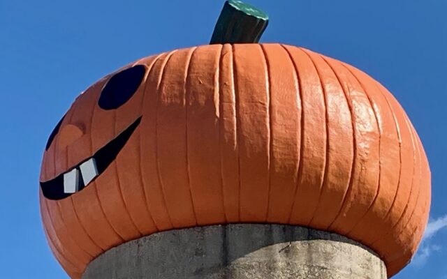 Largest Pumpkin in U.S. Disqualified for Tiny Crack