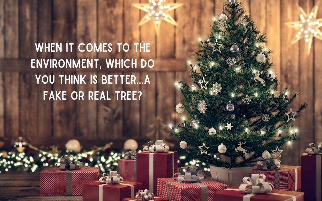 Fake trees CAN cause less of an impact if you use them over and over again. 