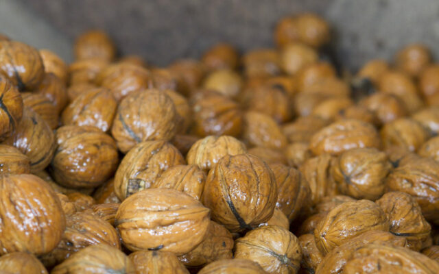 Info you DON’T need to know! How to make WET WALNUTS?!