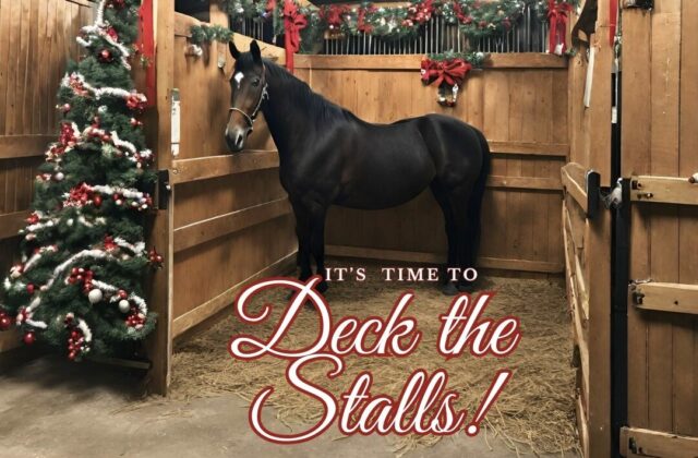 <h1 class="tribe-events-single-event-title">Deck the Stalls at Holistic Riding Equestrian Therapy!</h1>