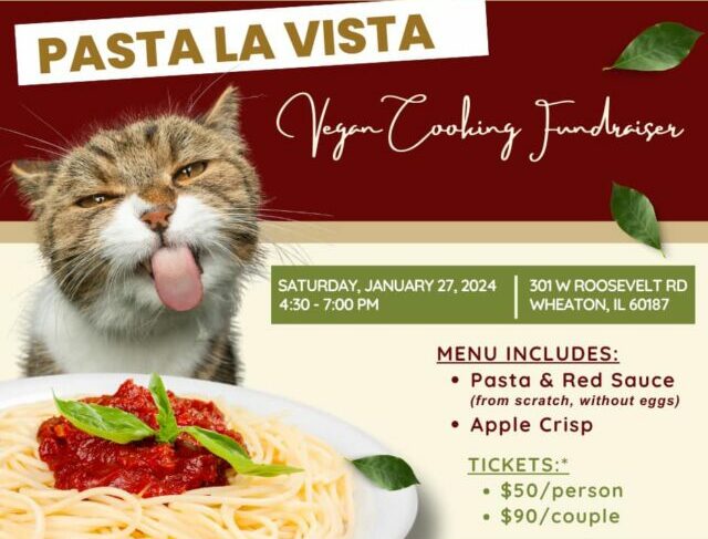 <h1 class="tribe-events-single-event-title">Pasta La Vista – Vegan Cooking Class</h1>