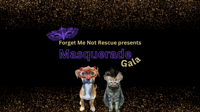 <h1 class="tribe-events-single-event-title">Masquerade Gala</h1>